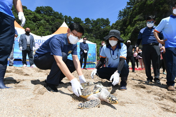 바다거북 6마리를 방류하는 행사를 8월25일(목) 제주도 중문 색달해변에서 개최했다. /사진제공=해양수산부