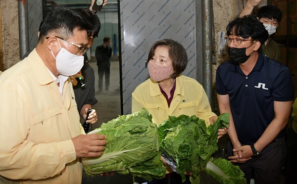 /사진=한국농수산식품유통공사