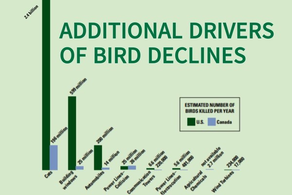 서식지 파괴를 제외한 북미권 조류 개체수 감소 원인 그래프. /자료출처=The State of the Birds 2014