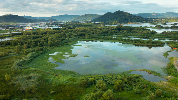 G20 환경장관회의, 제5차 유엔환경총회, EU 지속가능한 금융과 텍소노미 등 자연기반해법 중심의 국제적 요구가 거세지고 있다.