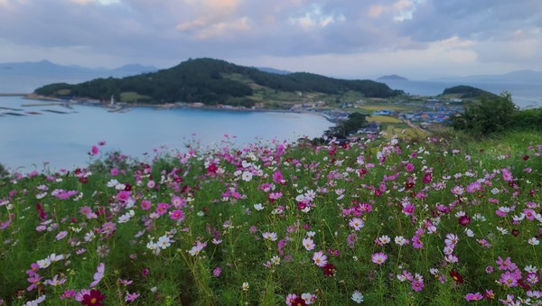 청정완도 가을 섬 여행 청산도 전경 / 사진제공=완도군