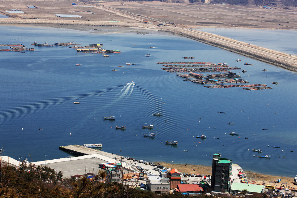 김태흠 지사는 “스마트 양식에 대한 과감한 투자로 지역 수산업 성장을 견인하고 대한민국을 선도하는 양식산업의 거점이 되도록 지원하겠다”고 밝혔다.