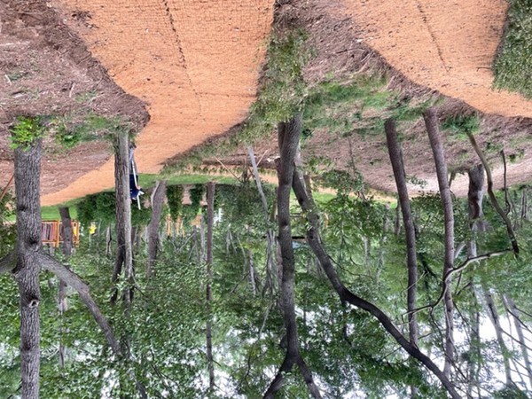 시민 편의 시설로 조성된 산책로/ 사진제공=산림청 함양국유림관리소