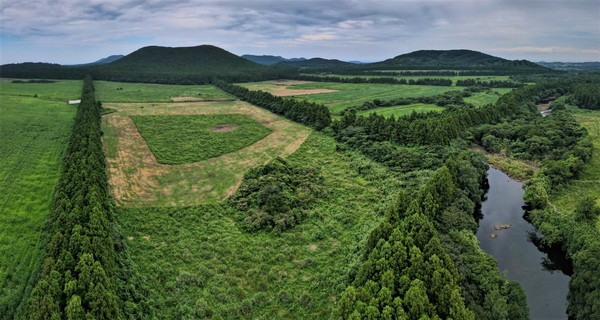 제주 천미천 /사진제공=한국내셔널트러스트