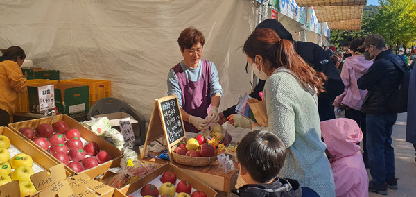 문경사과축제장을 찾은 가족이 문경 감홍사과를 맛보고 있다. /사진=김영동기자