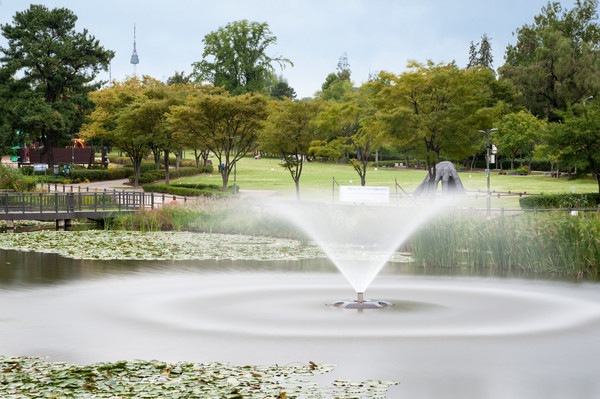 용산가족공원 가을풍경 /사진제공=공원사진사 이상헌 제공, 서울시