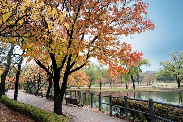 용산가족공원 가을풍경 /사진제공=공원사진사 이상헌 제공, 서울시