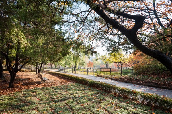 용산가족공원 가을풍경 /사진제공=공원사진사 이상헌 제공, 서울시