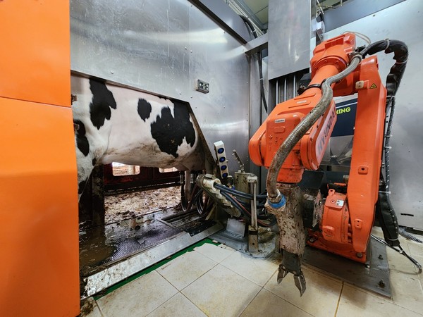 충남도내 농가에 첫 보급된 우유 짜는 국산 로봇착유기 /사진제공=충청남도