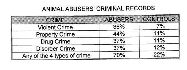 동물 학대와 강력 범죄의 관계 /자료출처=Cruelty To Animals and Other Crimes, MSPCA, 노스이스턴대학교(1997)
