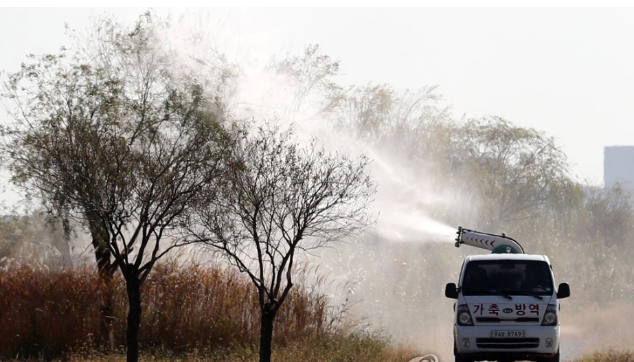 철새도래지에서 방역 실시하는 소독차량 /사진제공=부산시