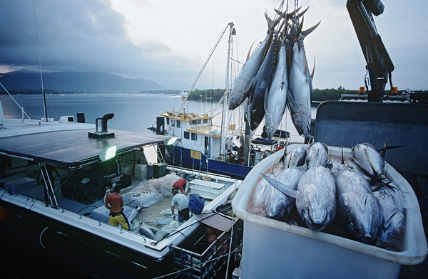 공해는 참치 등의 주요 어장이 위치하고 있어 한국의 많은 기업들도 원양어업을 통해 공해 상에서 조업을 하고 있다.