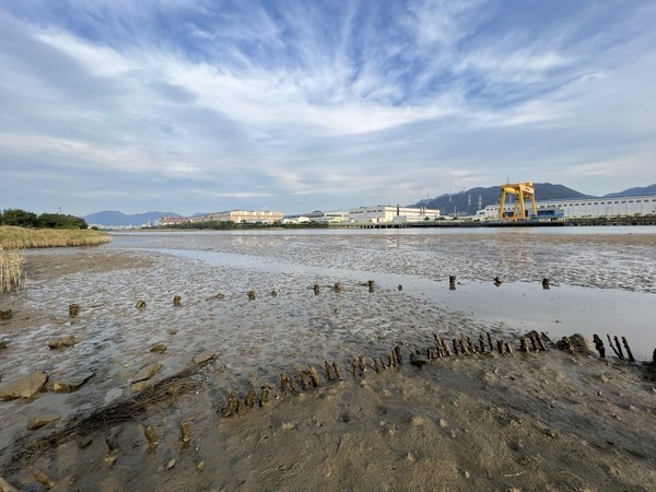 간조의 봉암갯벌 /사진=전유성 학생기자