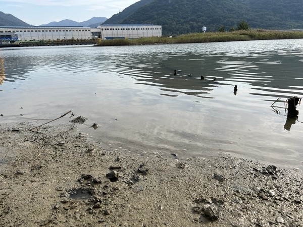 만조의 봉암갯벌 /사진=전유성 학생기자