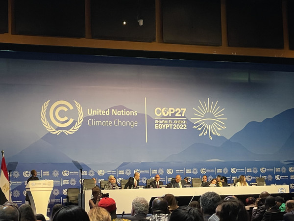 유엔기후변화협약 당사국총회에 참가한 국가들은 개발도상국의 손실과 피해를 보상하는 기금인 '손실과 피해 금융 자금'을 마련하는 데 합의했다. /사진제공=김효은 외교부 기후변화대사