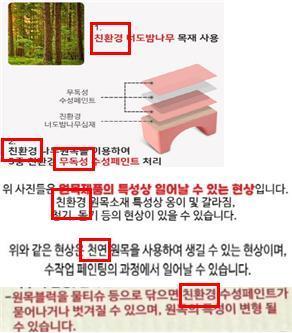 환경성 표시·광고 위반 사례 /자료=한국소비자원
