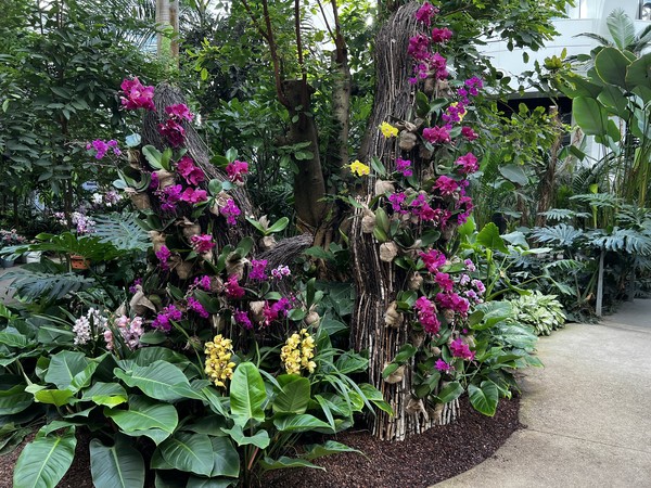 전시온실 /사진=서울시