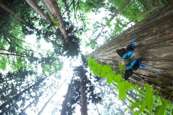 생물다양성 보전을 위한 기후변화 대응에 사람의 역할이 중요해지고 있다.