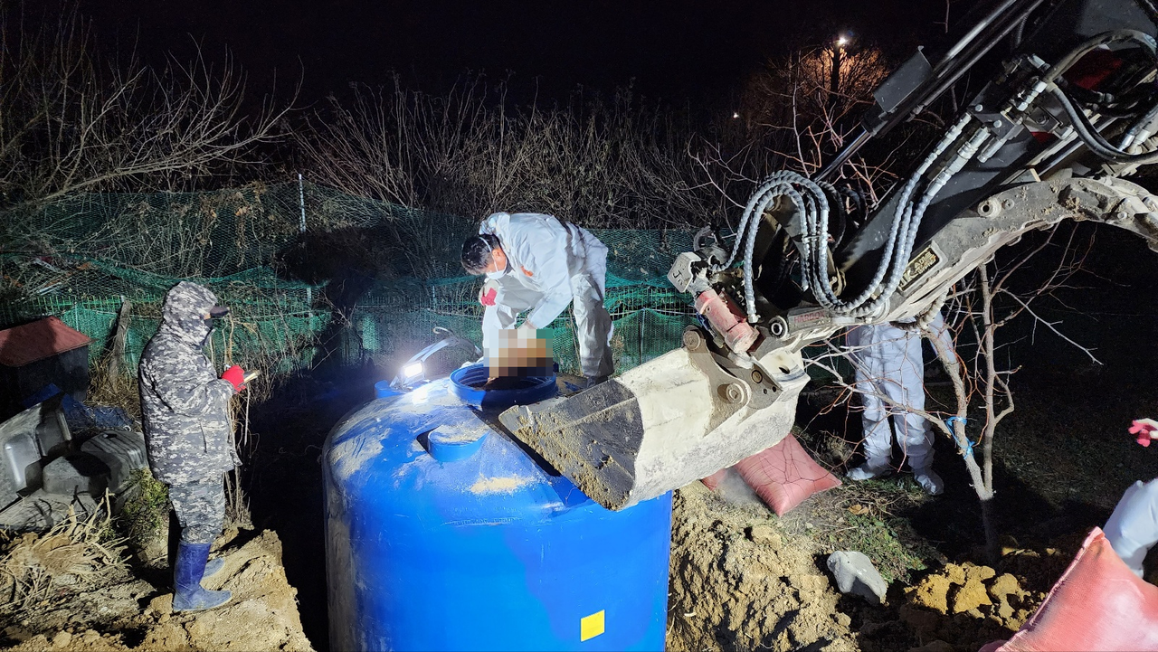 가금류 살처분 현장 /사진제공=부산시