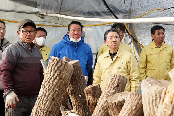 남 청장(오른쪽 두번째)이 전북 순창군 구림면 율북리 표고자목 재배 임가를 찾아 최영일 순창군수(왼쪽 두번째) 등 관계자들과 피해 상황을 점검하고 있다. /사진제공=산림청