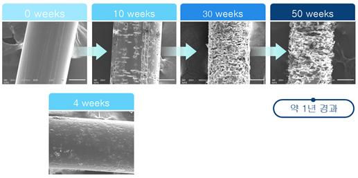 폐어구·폐어망으로 인한 해양생태계 보전 및 수산자원 보호를 위해 수중에서 분해되는 생분해 어구 세계 최초로 개발했다(2002～2022, 24종). /자료제공=해양수산부