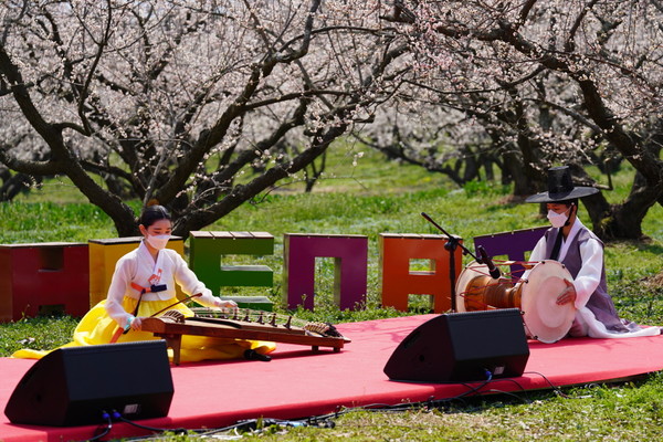 땅끝매화축제 랜선 공연 /사진제공=해남군