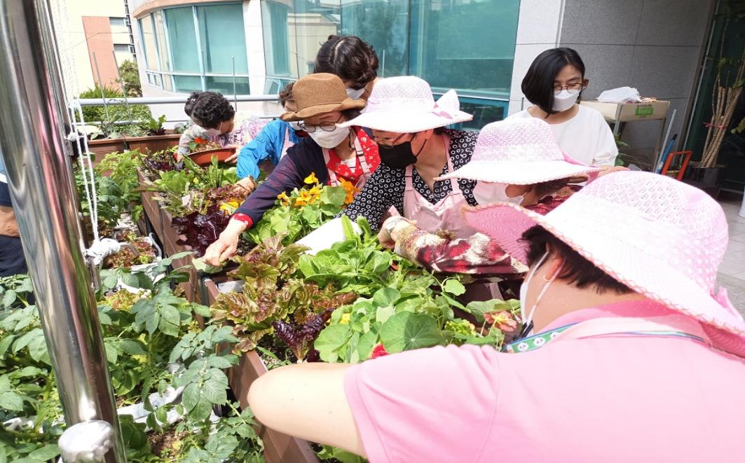 치유농업 프로그램 시범사업 교육현장 /사진제공=부산시