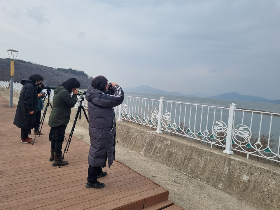 영종도에서 두루미를 관찰하는 시민들 /사진제공=가톨릭환경연대