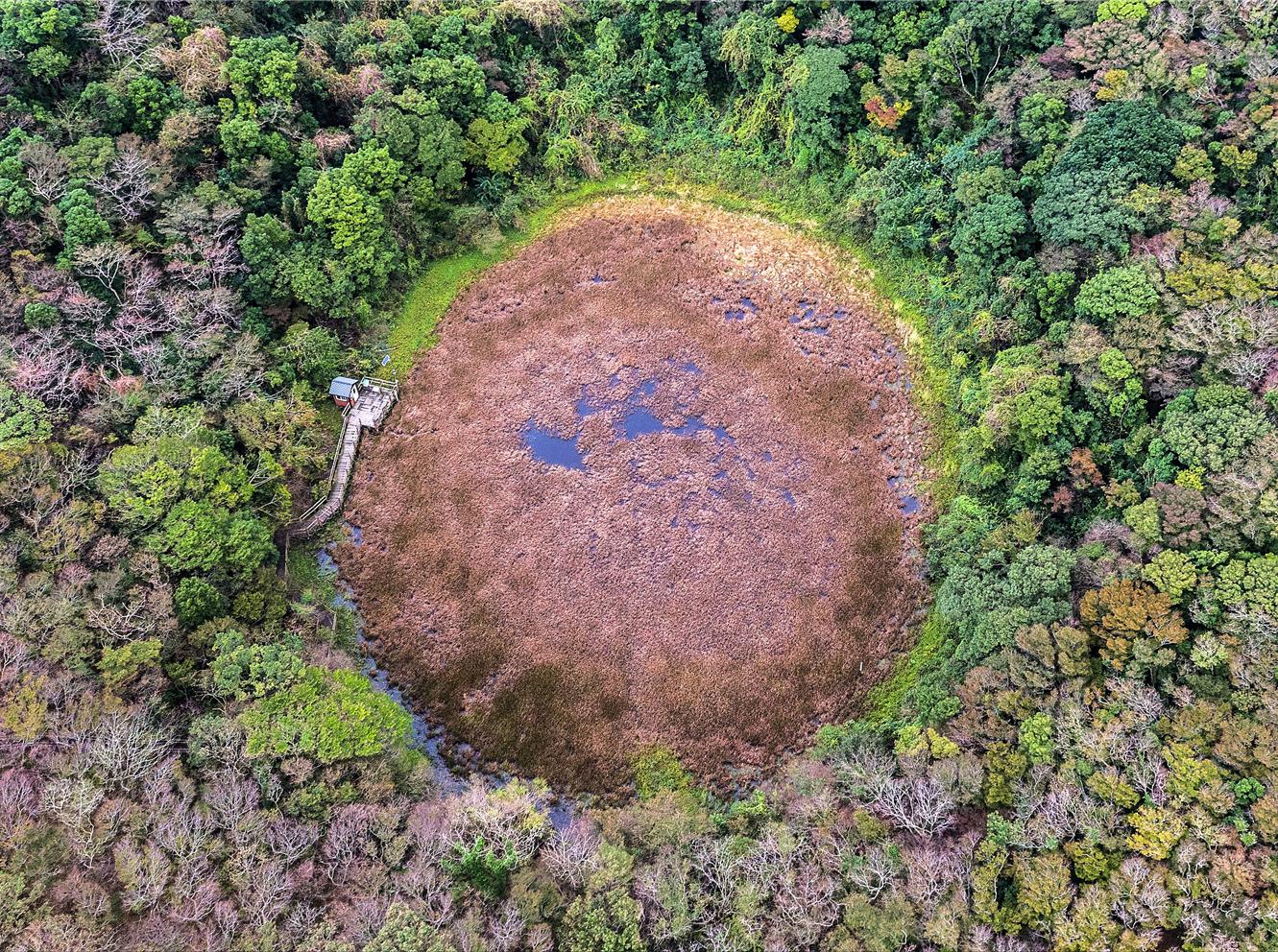 람사르습지도시 인증제도는 람사르습지로 인정받은 습지 부근에 위치해 습지 보전과 현명한 이용에 모범적으로 참여한 도시나 마을을 국제적으로 인증하는 제도다. /서귀포시 물영아리오름습지, 자료제공=환경부