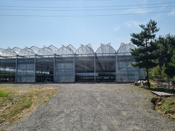 산림용 묘목생산시설 전경 /사진제공=성주군
