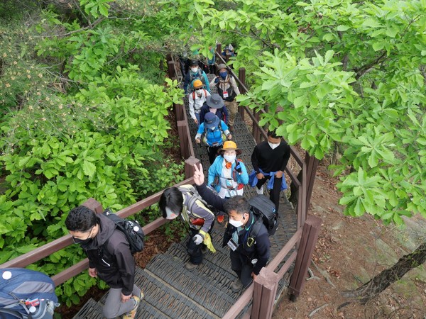 100인 원정대-숲길 /사진=서울시