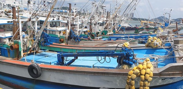 어촌인력 부족 문제에 대응하기 위한 후계‧청년어업인 육성 정책을 담은 ‘제1차 후계‧청년어업인 육성 기본계획(2023～2027)’을 발표했다. /사진제공=해양수산부