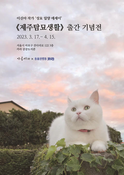 서울 마포구 킁킁도서관에서 이신아 작가의 ‘제주탐묘생활’ 출간을 기념한 전시회가 14일부터 내달 15일까지 열린다. /자료제공=동물권행동 카라