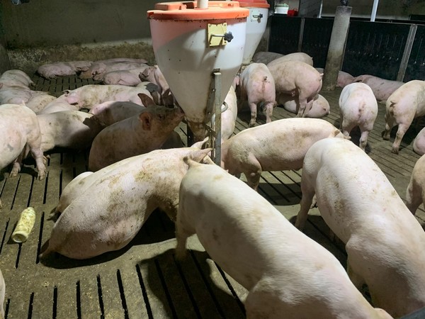 참석자들은 이날 토론회를 통해 생산뿐 아니라 유통, 소비 등 농업 분야 전 과정에 걸쳐 탄소 배출을 저감해야 하고, 농가들을 위한 교육 지원 대책 수립이 필요하다는 데 의견을 모았다.