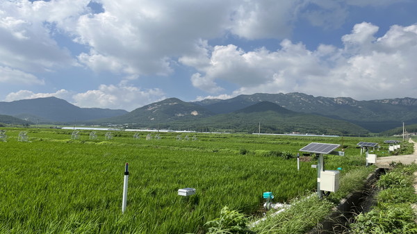 전남 해남군 계곡면 저탄소 농업 시범사업 대상지 /사진제공=해남군