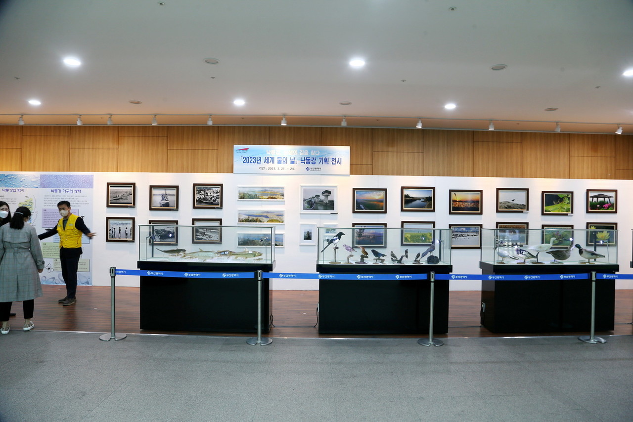 생명의 강 낙동강 기획전시 개최 /사진=권영길 기자