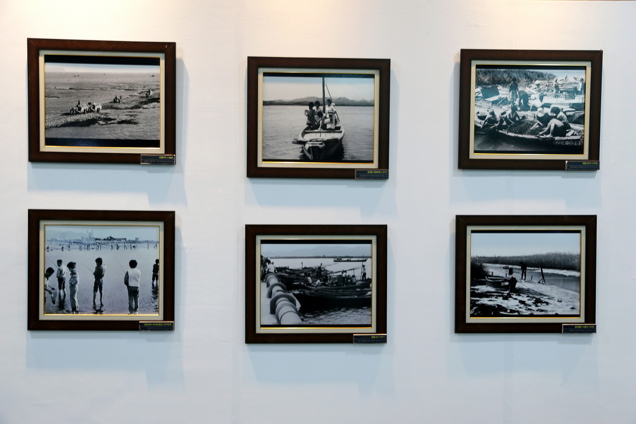 낙동강하구 변천사 사진 /사진=권영길 기자