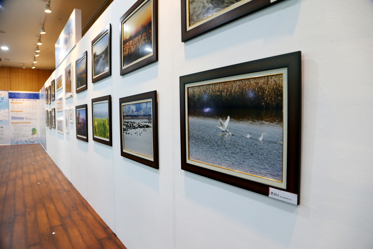 낙동강하구 사진 /사진=권영길 기자