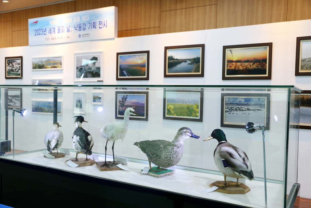 셍테표본 전시 쇼케이스 /사진=권영길 기자