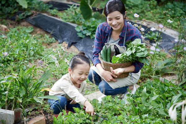 먹거리를 직접 기르면 우리에게도 좋다. 성취감과 행복감을 불어일으킴으로써 스트레스를 줄여준다.