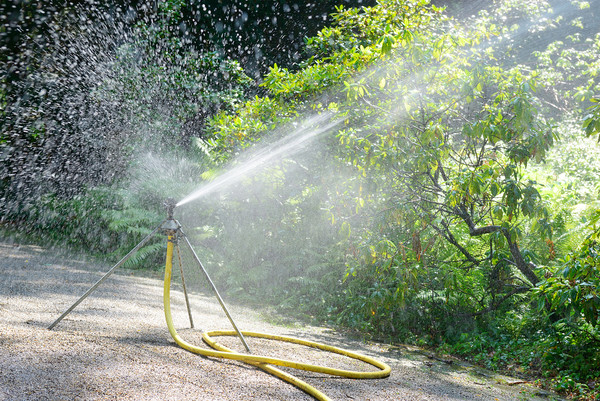 스프링클러는 너무 오래 켜져 있는 경우가 많고, 호스는 방아쇠로 제어되지 않는 경우에는 물을 과도하게 쓰게 된다. 
