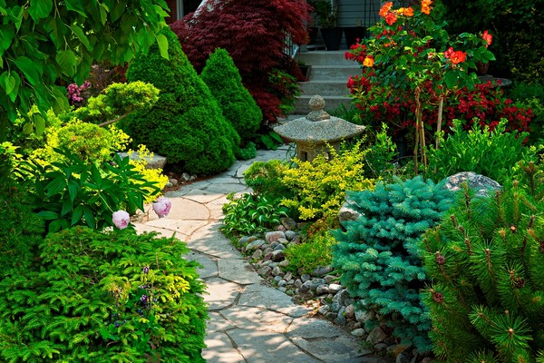  잔디깎이는 신형 휘발유 자동차보다 11배 더 많은 공기 오염 물질을 배출한다.