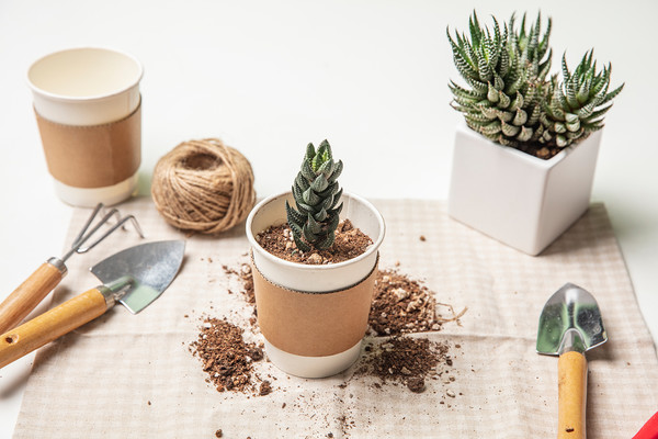 요구르트 통, 우유 곽, 음료수 병을 묘목 기르기에 재사용함으로써 새 생명을 불어넣는 방법이 있다.