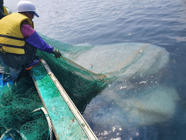 해파리 구제 작업 중인 어민 /사진제공=통영시