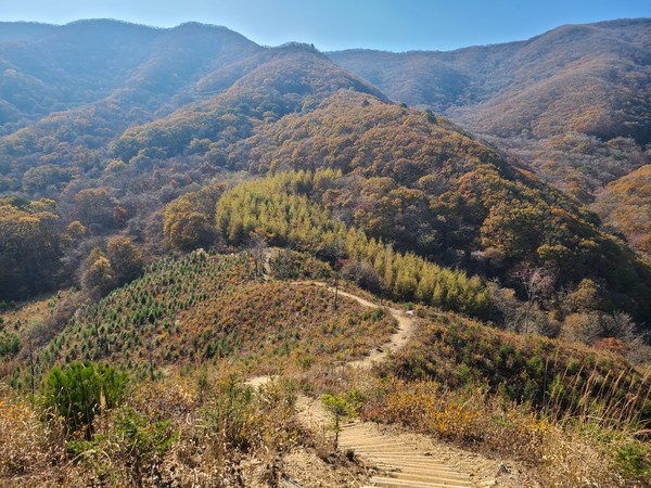 DMZ펀치볼둘레길 전경 /사진제공=국립산림과학원
