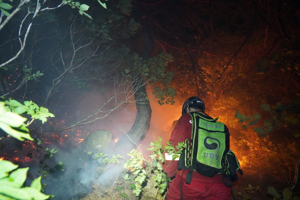 5월28일 발생한 울진 산불을 진화하고 있는 공중진화대 /사진제공=산림청