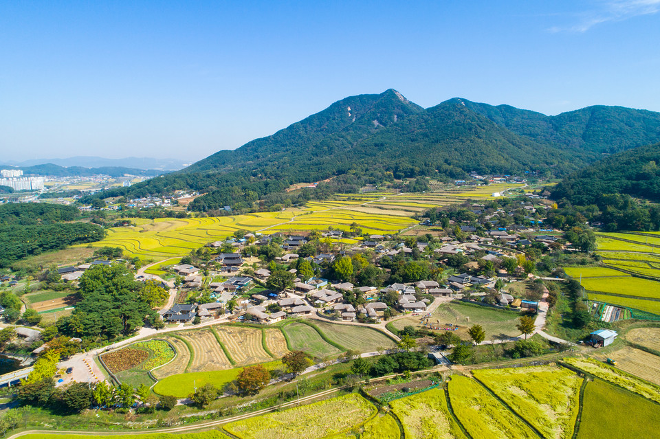 식량안보와 밀접한 식량자급률을 높이려면 벼재배, 가축사육 등이 보다 활발해져야 한다. 이 과정에선 온실가스 배출이 불가피하다. 기후위기 대응과 식량안보 두마리 토끼를 잡는 건 쉬운 일이 아니다.
