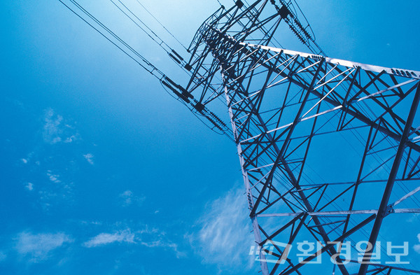 박종배 건국대학교 교수는 대한민국의 낮은 전기 요금의 정상화가 필요하다고 말했다. 또한 지역별 도매 전력시장 제공과 가격입찰제도 도입 등 여러 방법을 제시했다.