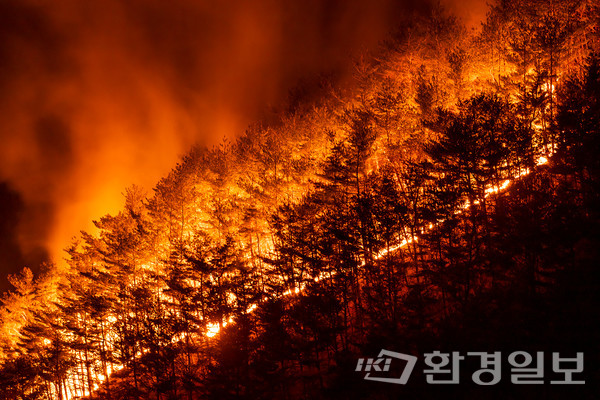 최근 대한민국은 기후위기 속 산불은 대형화·연중화 되고 발생 원인도 다양해져 산불 예방 및 진화에 큰 어려움을 겪고 있다.