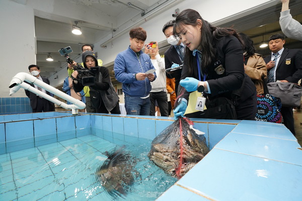 수산물 검사 시연 /사진=해양수산부